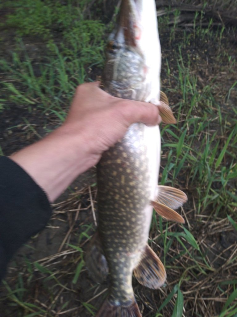 20220602_131239.jpg