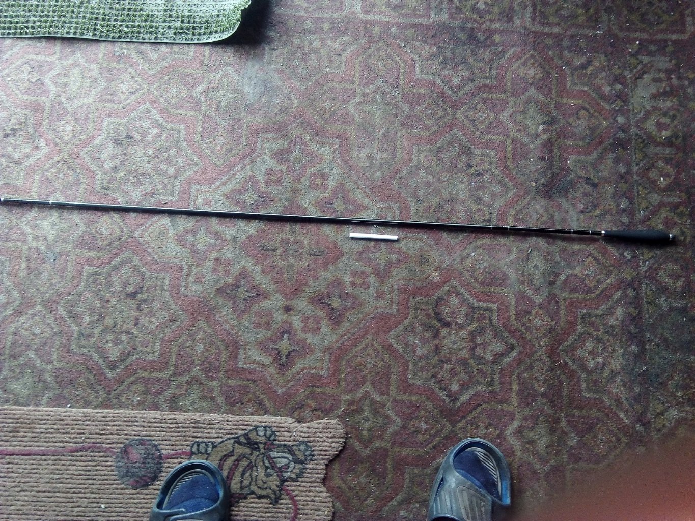 IMG_20220606_174523.jpg