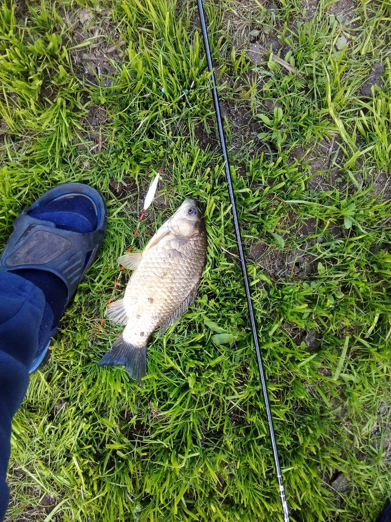 IMG_20220606_190930.jpg