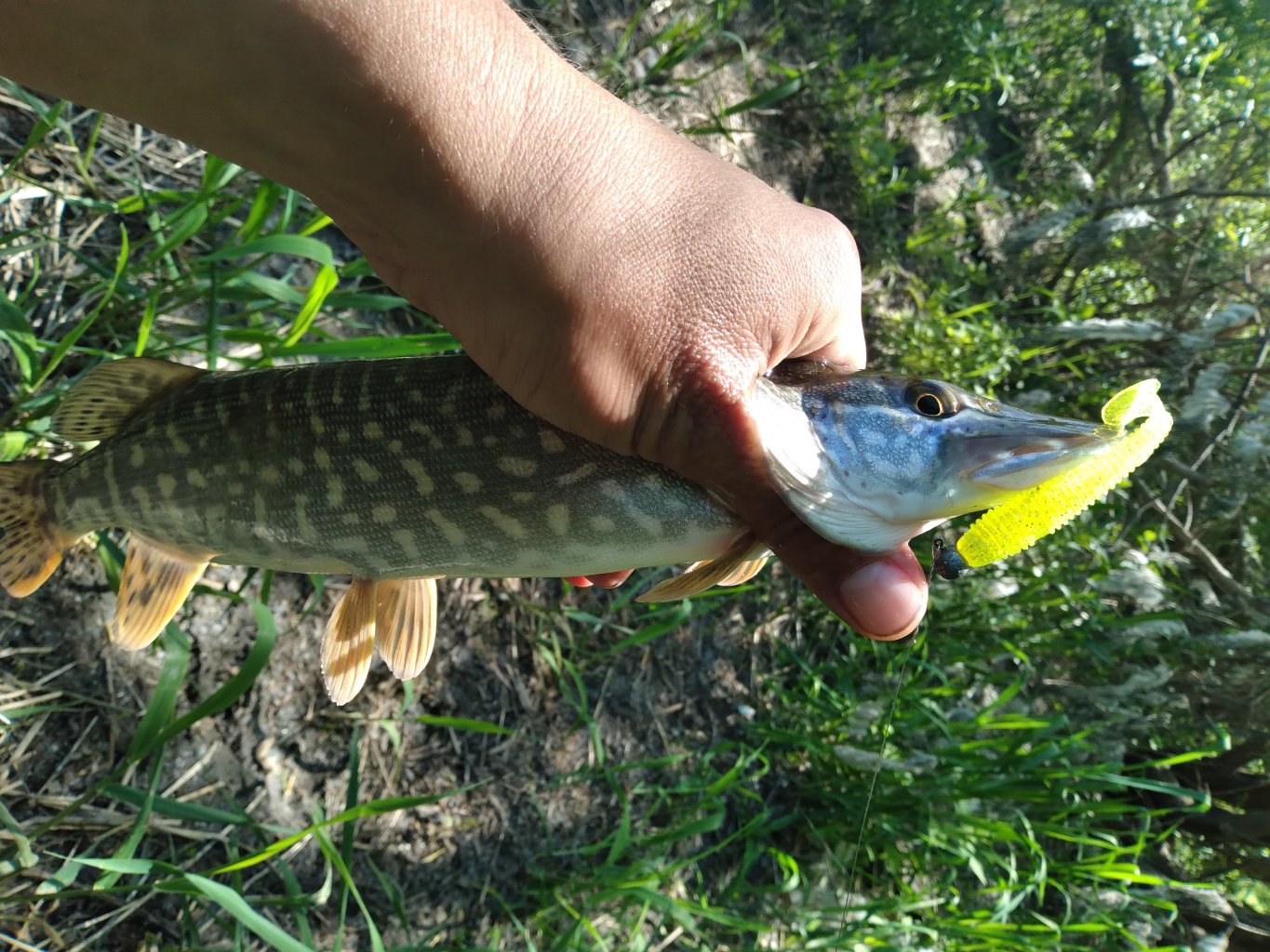 20220610_122421.jpg