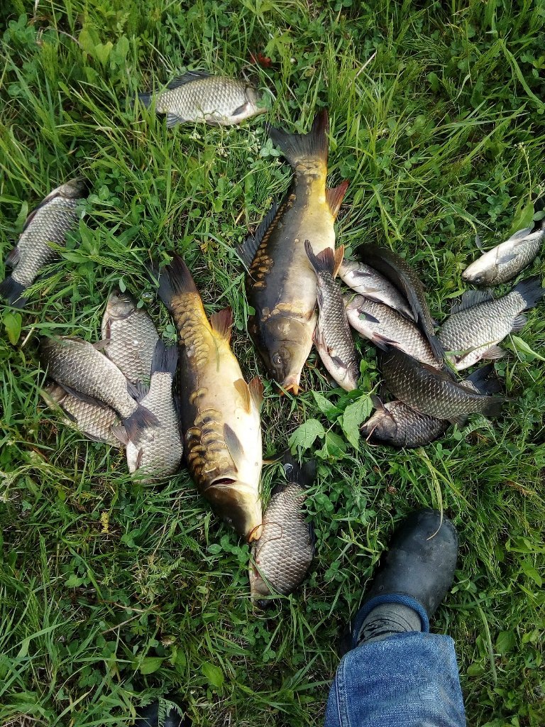 IMG_20220611_191307.jpg