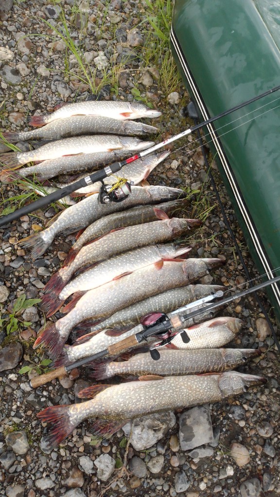 IMG-20220720-WA0006.jpeg