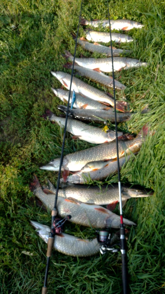 IMG-20220809-WA0004.jpeg