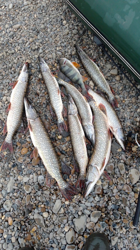 IMG-20220830-WA0005.jpeg