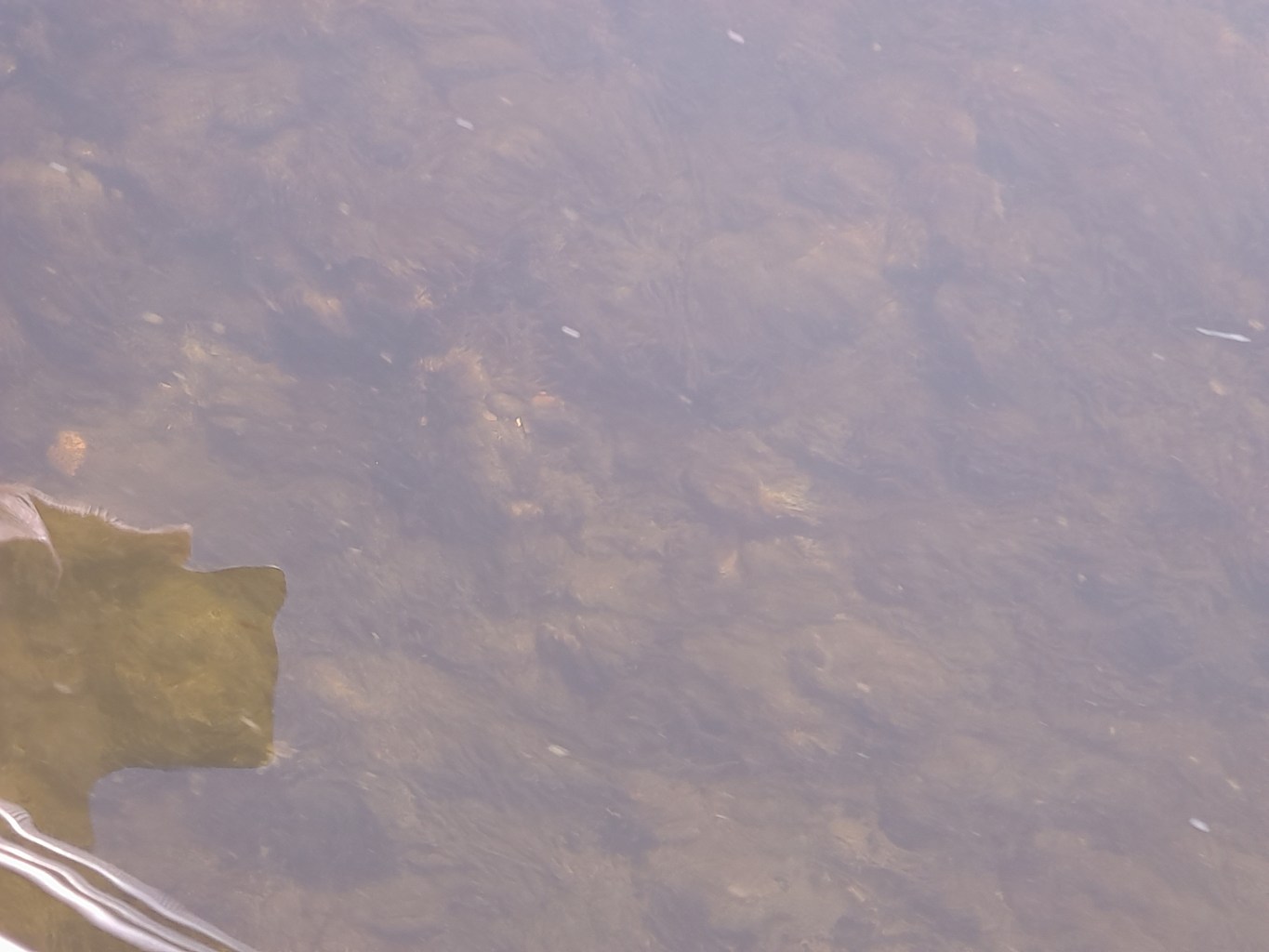 20220831_131334.jpg
