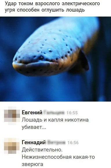tmpугорь.jpg