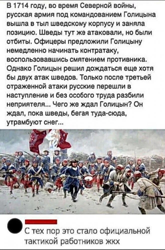 шведы.jpg