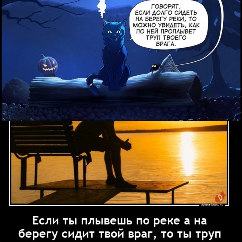249_Fotor_Collage.jpg