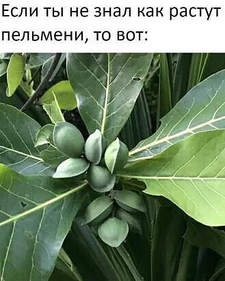 i (10).jpeg