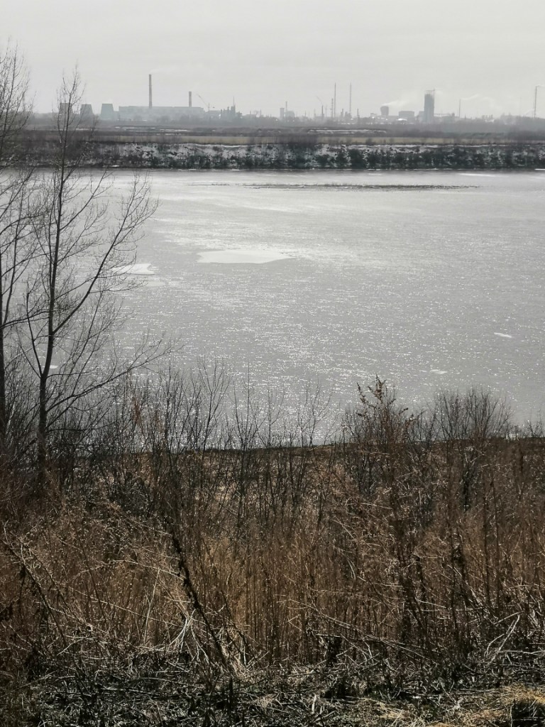IMG_20230424_140423.jpg