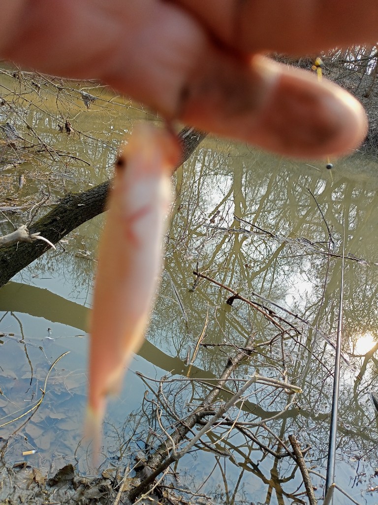 IMG20230506085304.jpg