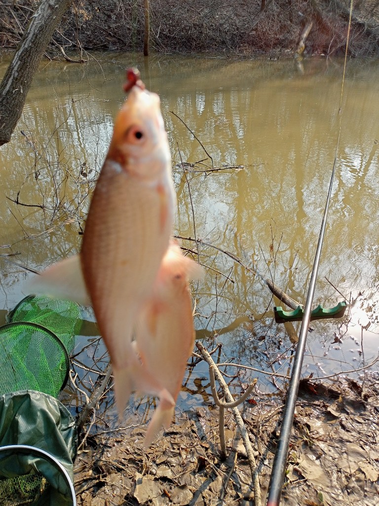 IMG20230506095140.jpg