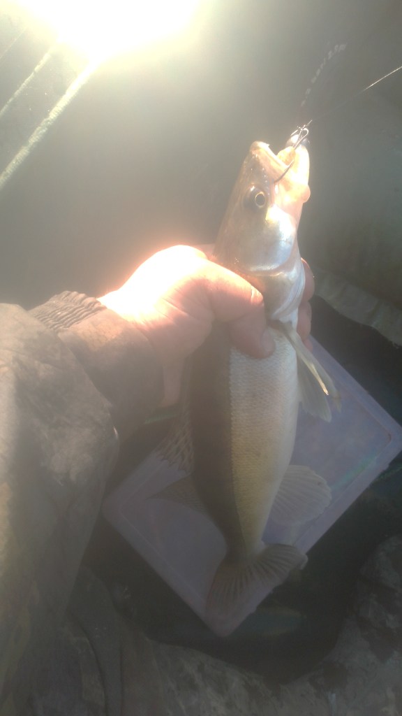 IMG-20230529-WA0010.jpeg
