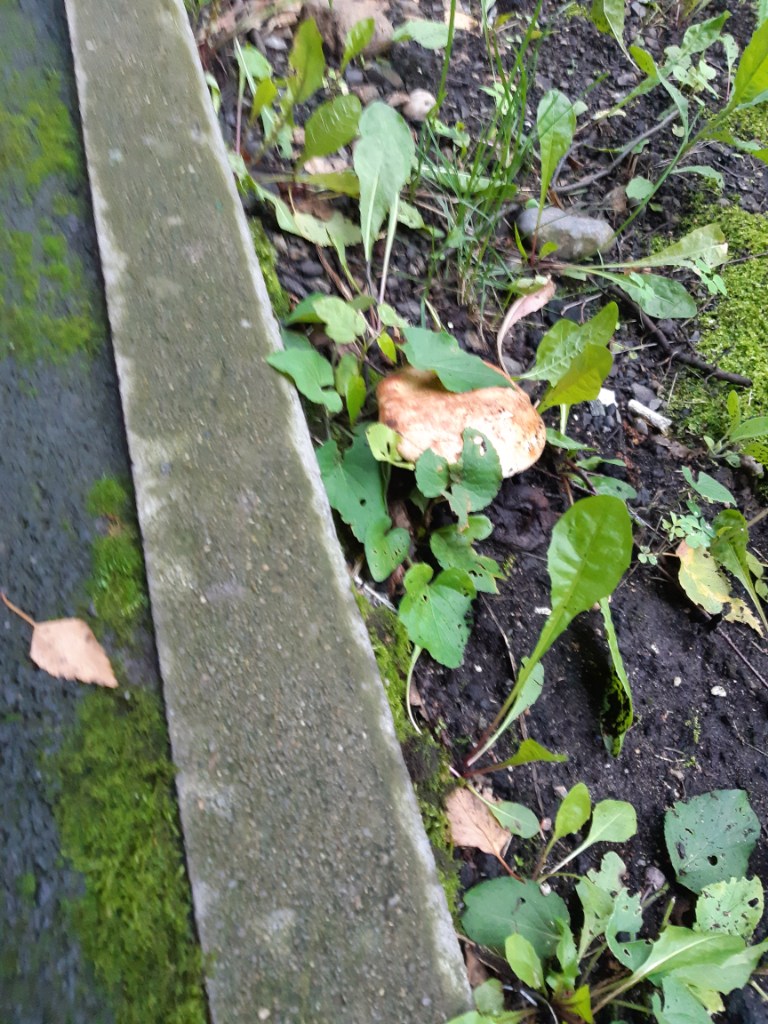 20230815_070310.jpg