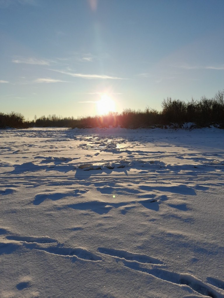 20231128_155113.jpg
