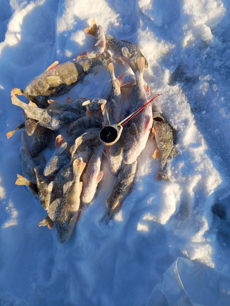 20231211_151649.jpg