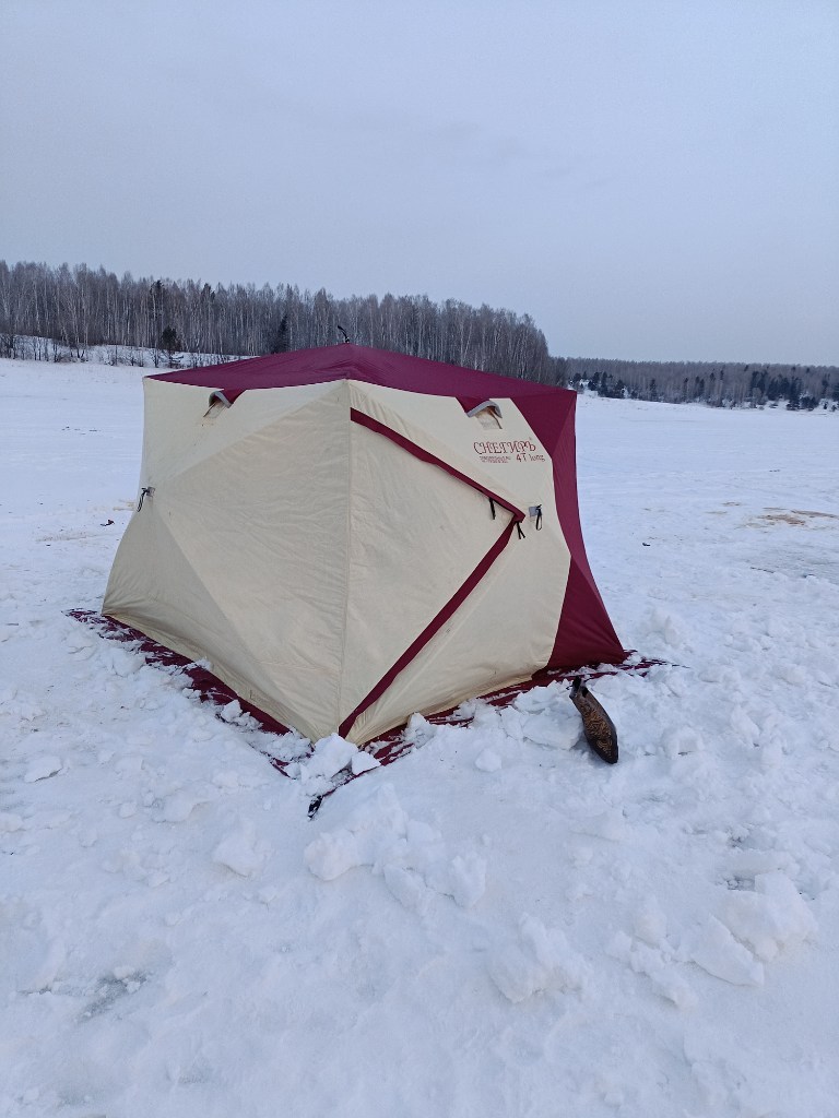 IMG20240204084033.jpg