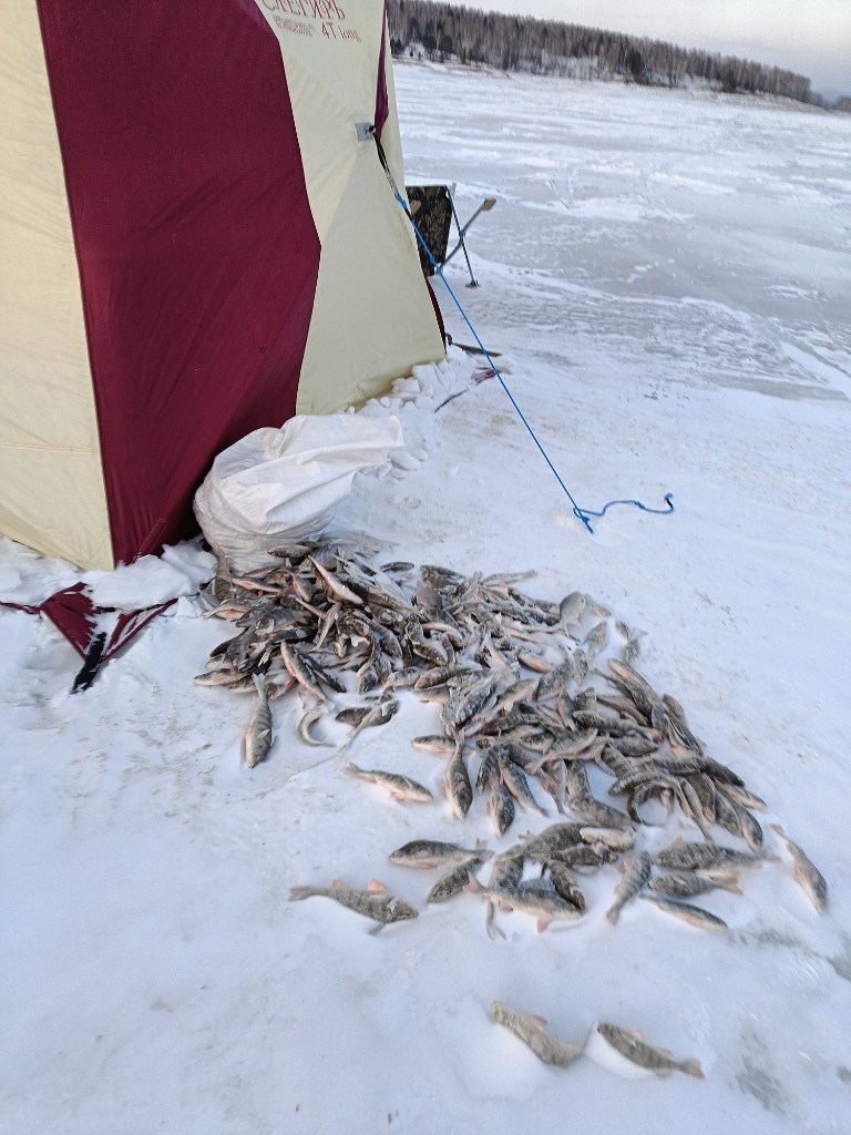 IMG20240216174631.jpg
