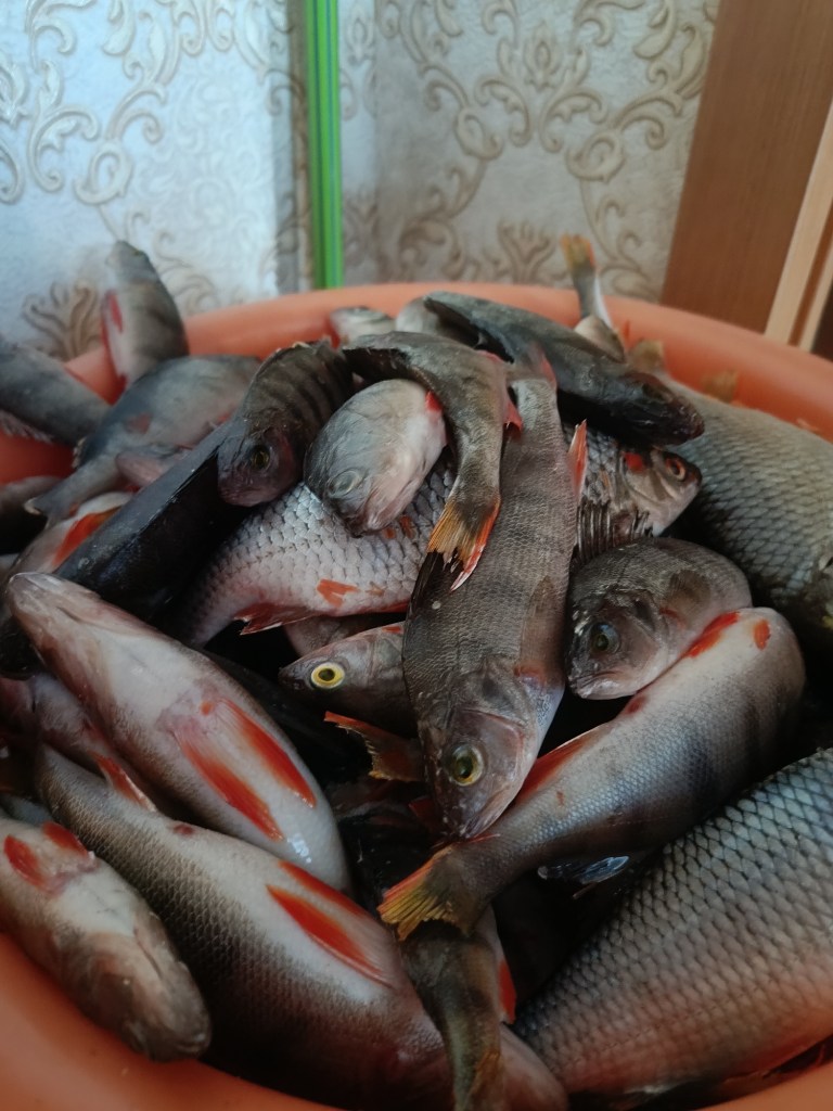 IMG20240220164908.jpg