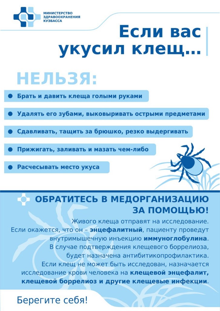 клещ3.jpg