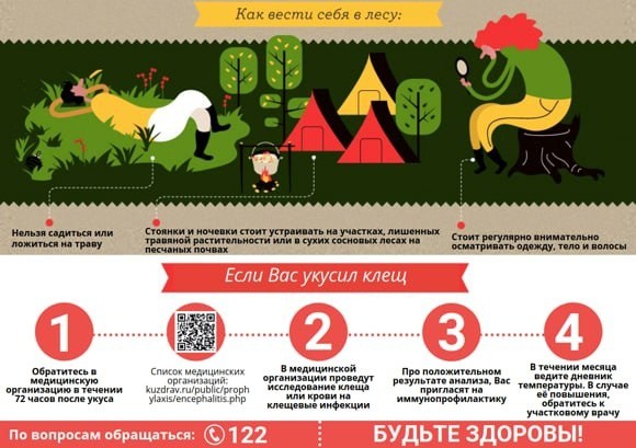 клещ2.jpg