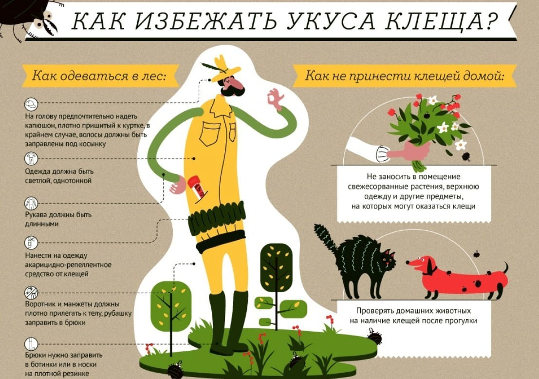 клещ.jpg