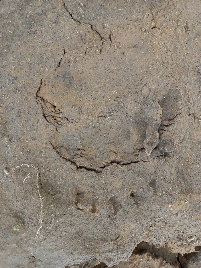 20240512_164651.jpg