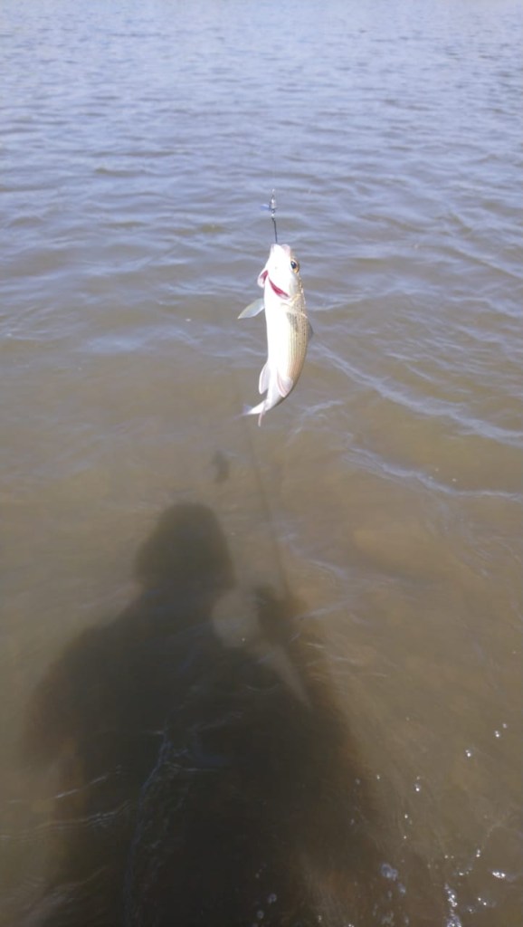 IMG-20240723-WA0005.jpg