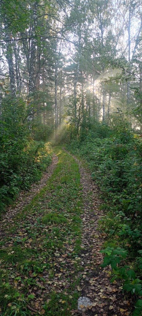 IMG20240814072817.jpg
