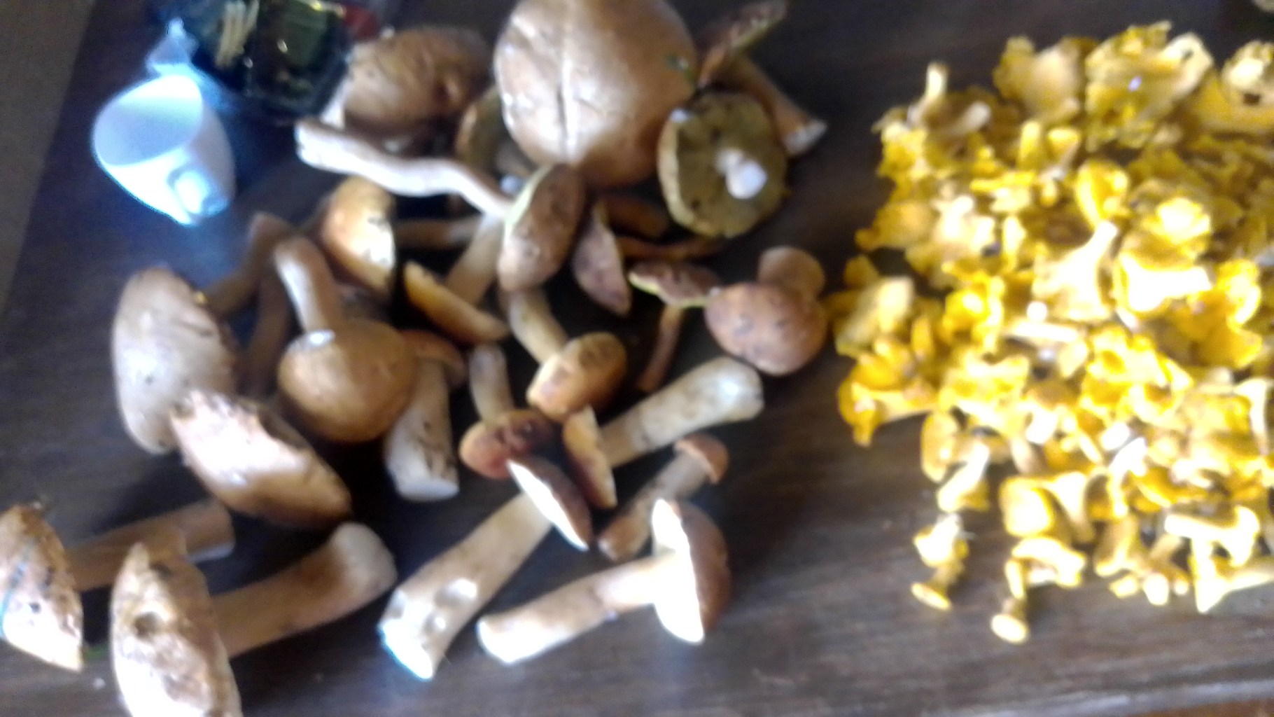 IMG-20240820-WA0002.jpeg