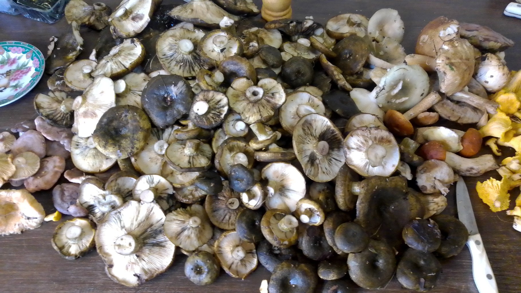 IMG-20240827-WA0004.jpeg