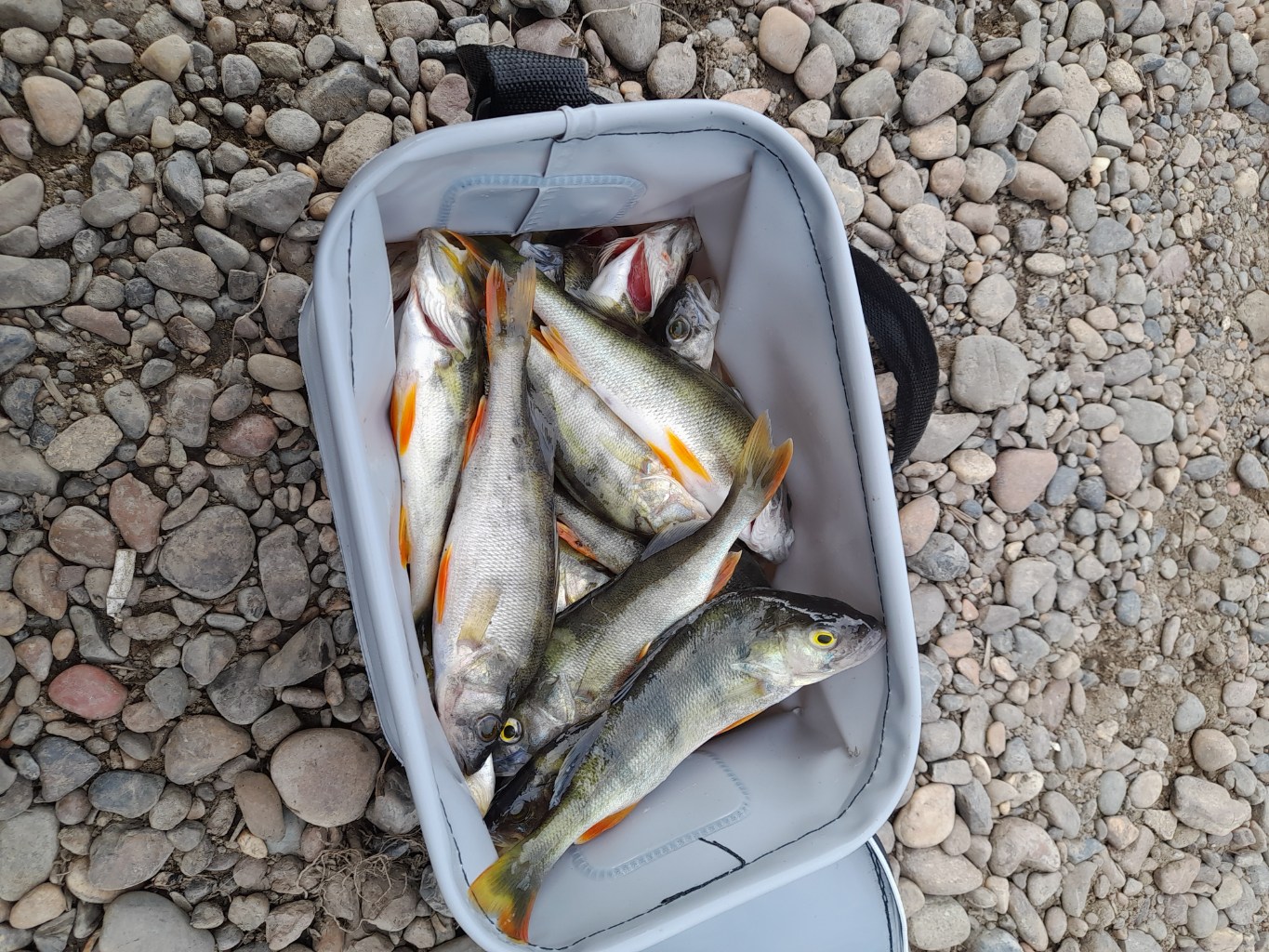 20240901_174118.jpg