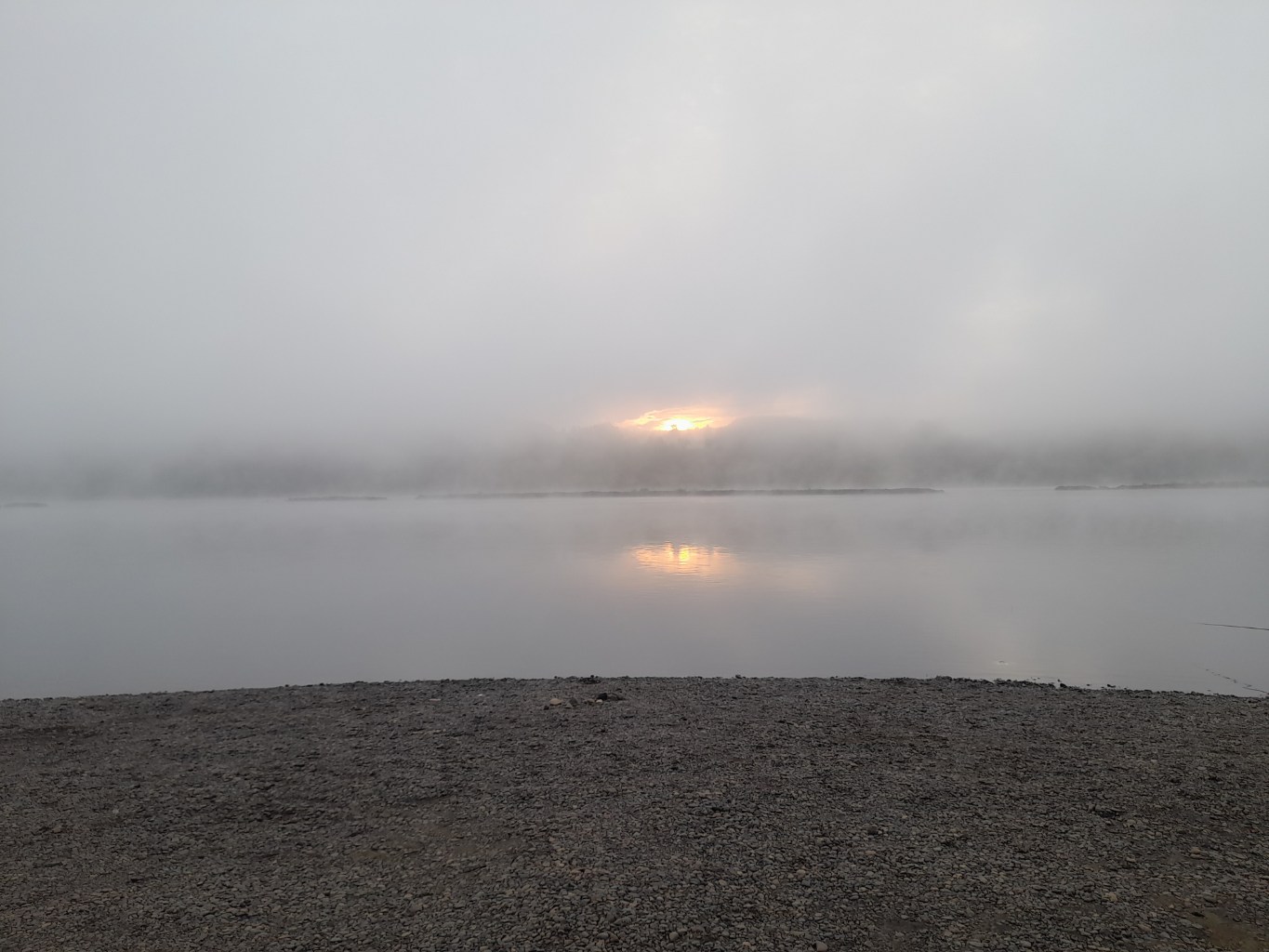 20240901_064803.jpg