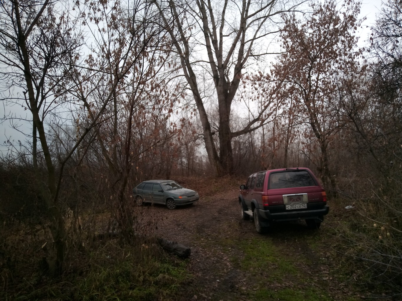 IMG_20241103_130155_769.jpg