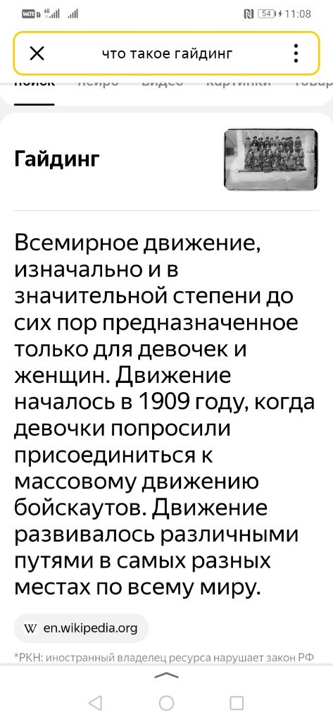 Screenshot_20241202_110833_ru.yandex.searchplugin.jpg