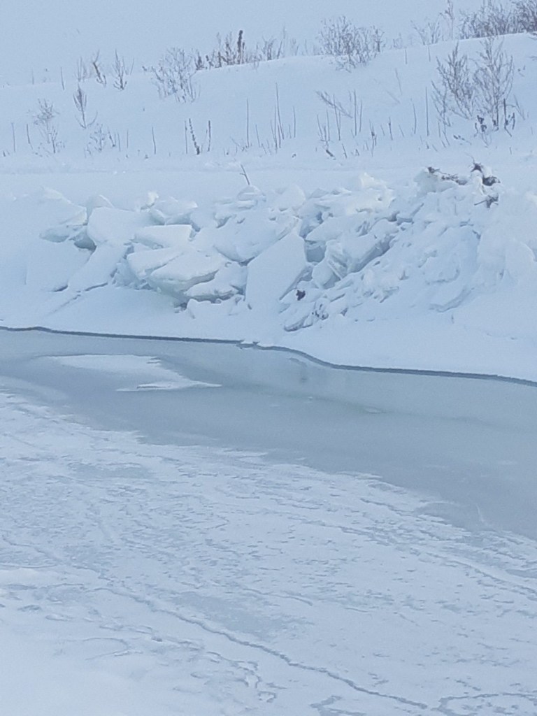 20241205_150021.jpg
