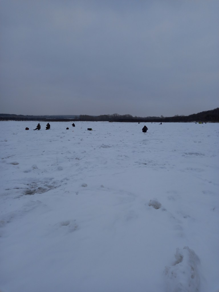 20241206_153258.jpg