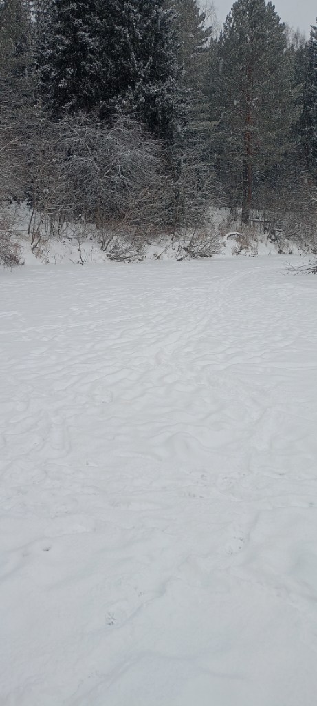 IMG20241208101903.jpg