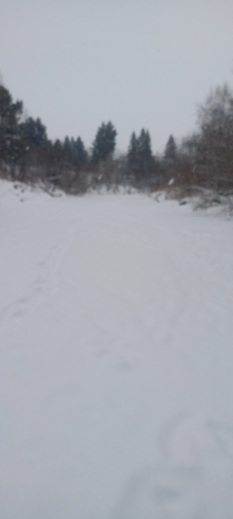 IMG20241208101907.jpg