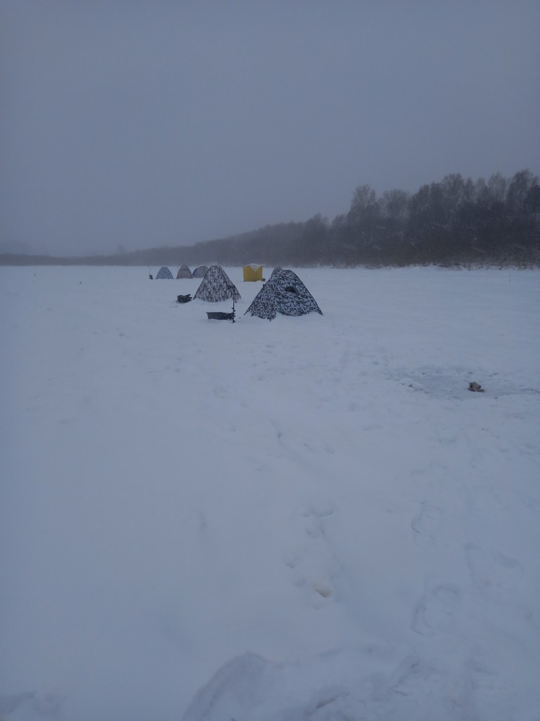 20250110_153545.jpg