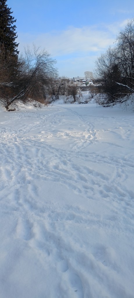 IMG20250112120934.jpg