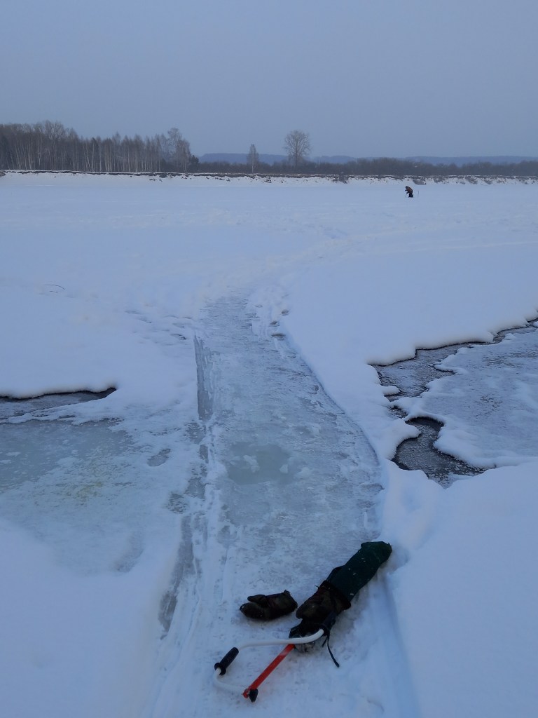 20250119_152209.jpg