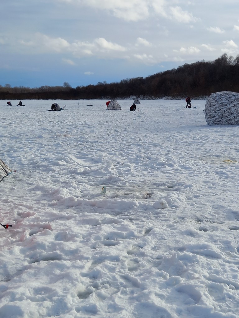 20250122_141928.jpg
