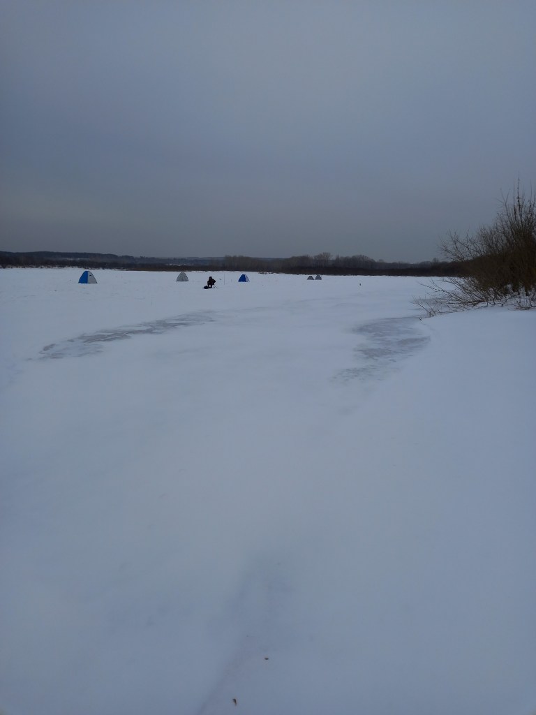 20250128_143509.jpg