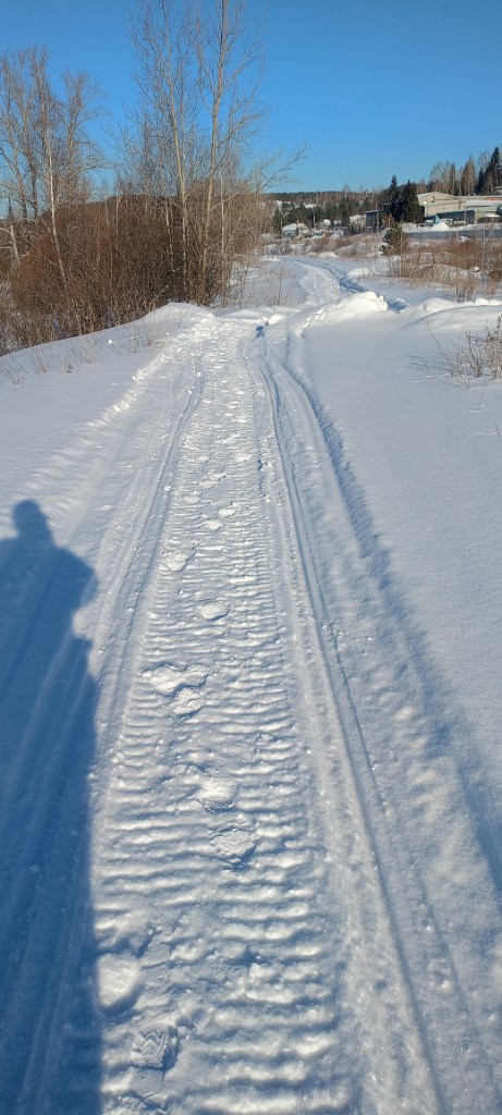 IMG20250206121308.jpg