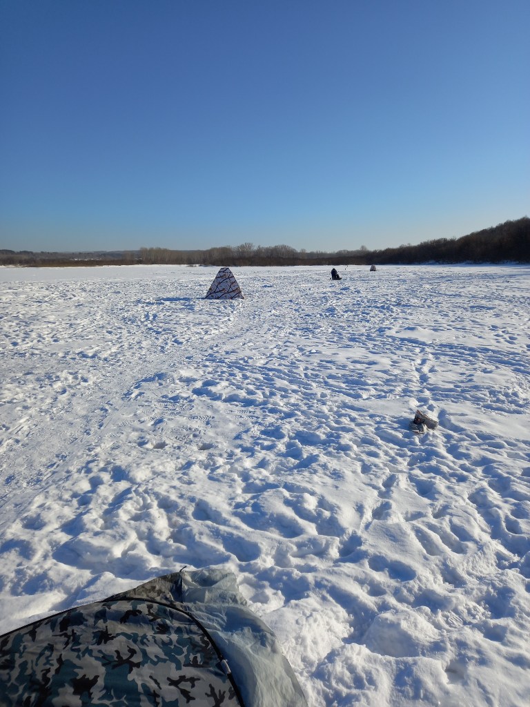 20250207_143256.jpg