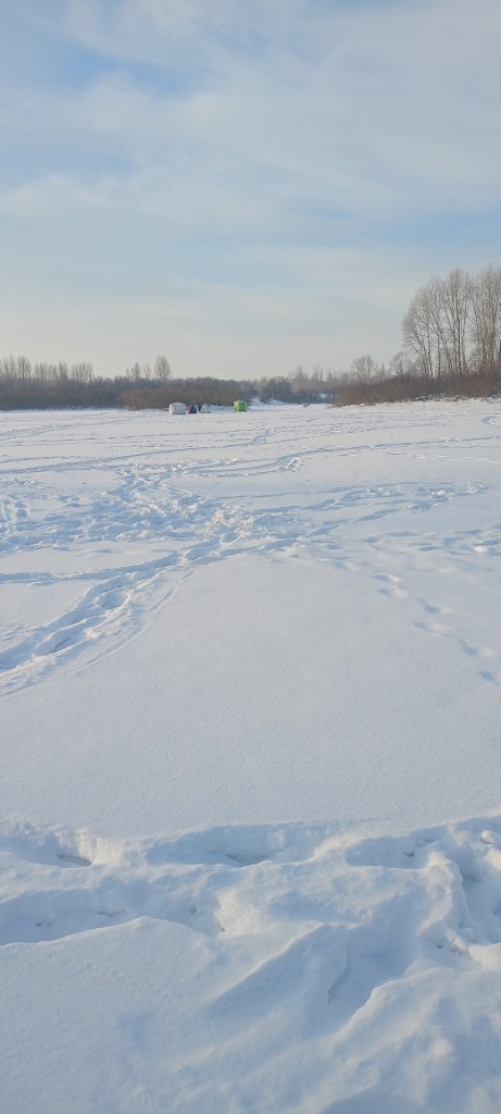 IMG20250208101226.jpg