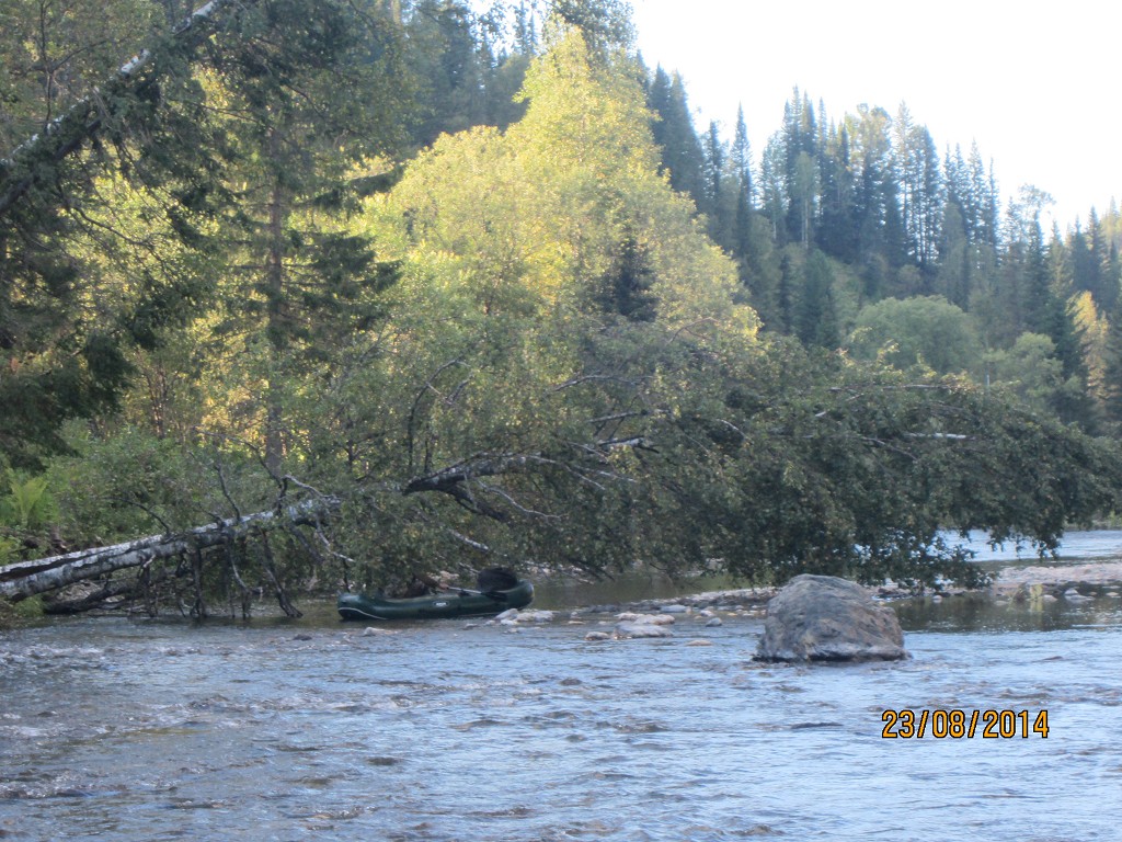 Сплав по реке кия